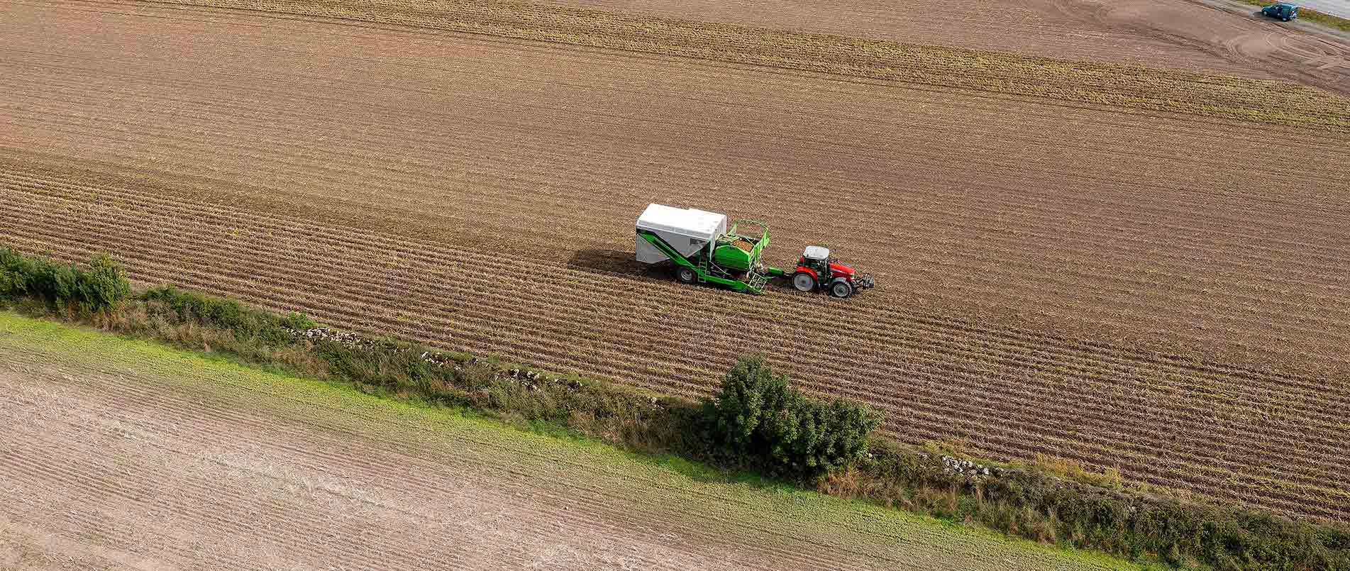 “探、收、烘、运”，看bifa必发如何四管齐下一站式保障秋收果实