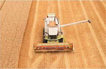 收——加大收割自动化力度，利用智能收获系统，保种保收，提产提质
