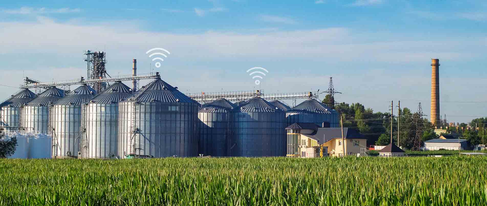 bifa必发助力夏粮存储新招式，科技手段更有效