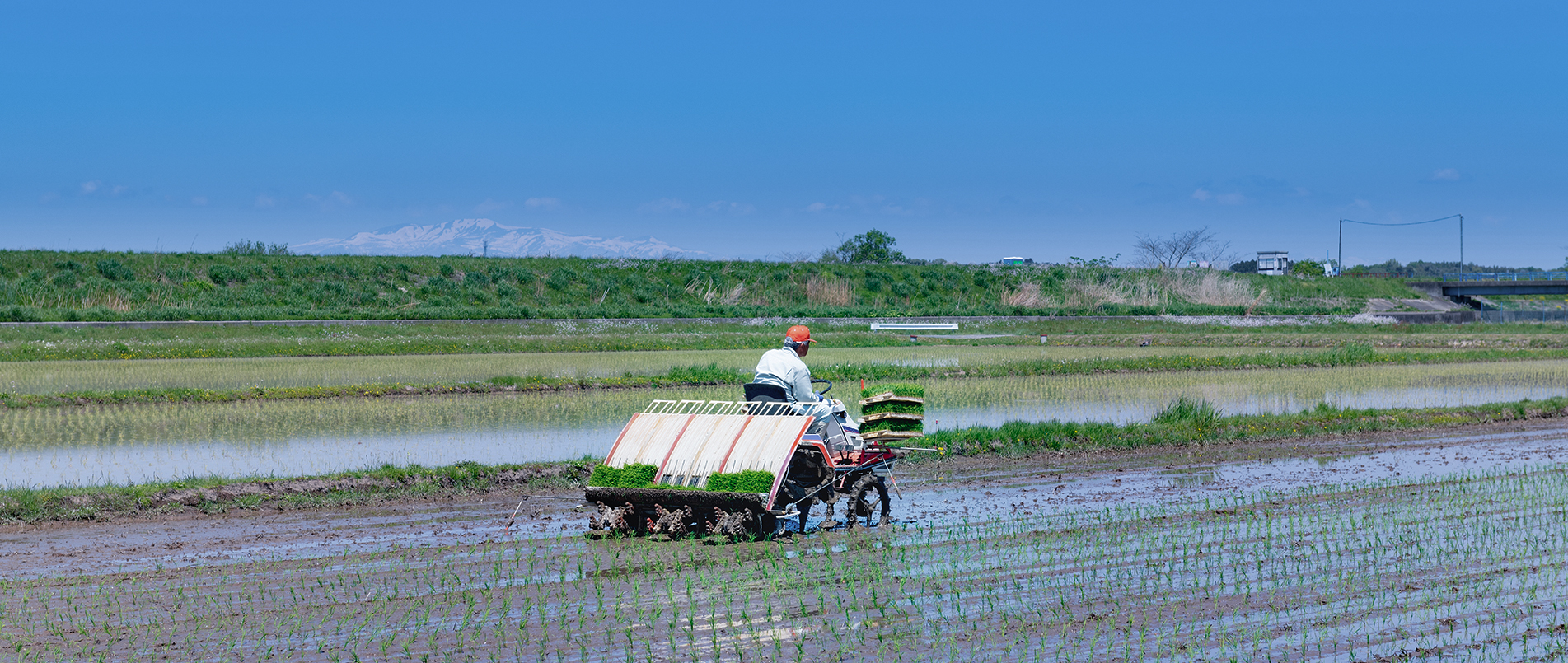 农机水田作业的“智慧大脑”——沃地泰FMA210，告别“经验种植”，开启精准高效农业之旅